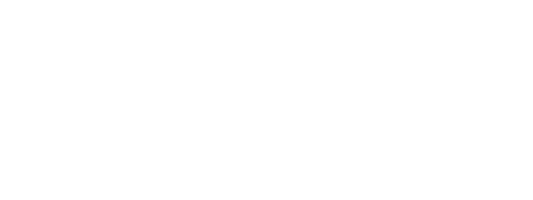 Nordic Executive Partners logo Inverted